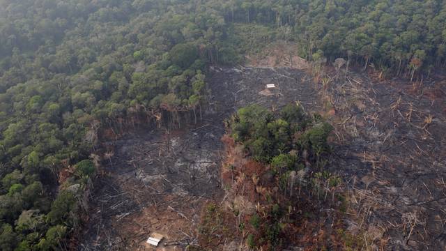 An aerial view of a deforested plot of the Amazon near Humaita