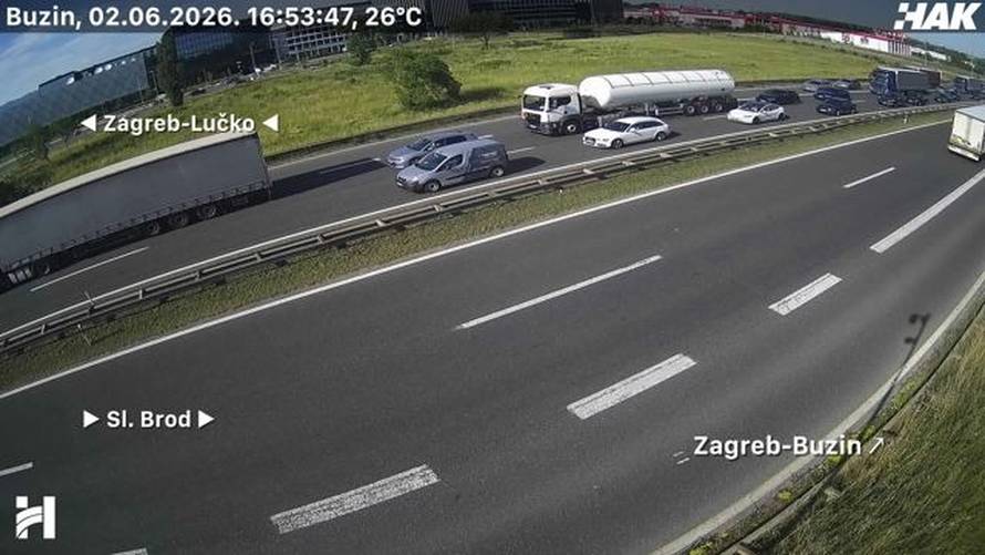 VIDEO Kolaps zbog svinja na obilaznici u Zagrebu, pokušat će ih uhvatiti. Kolona čak 7 km!