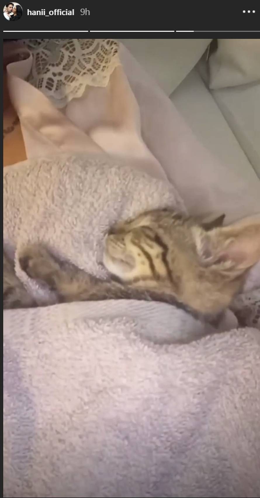 Stigla je 'prinova': Dok Goran radi, Hana se igra s mačkicom