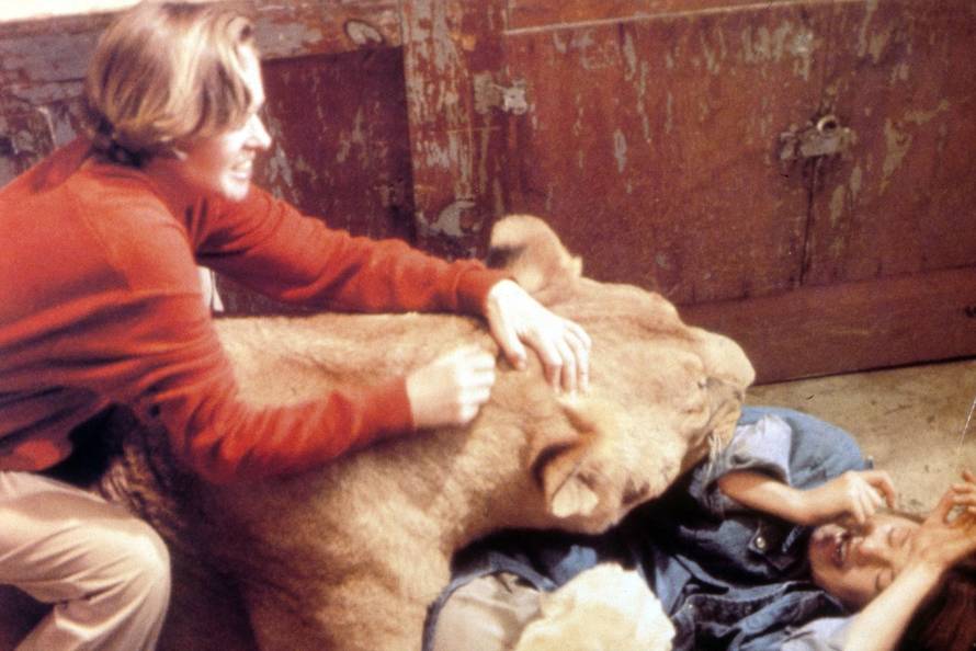 Roar Year : 1981 USA Director : Noel Marshall Tippi Hedren, Melanie Griffith