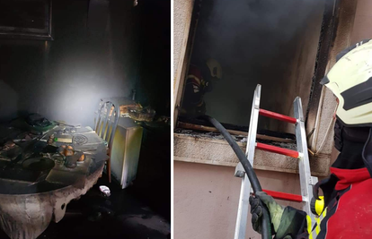 Vatra progutala stan u Bujama, vatrogasci spasili ženu i psa...