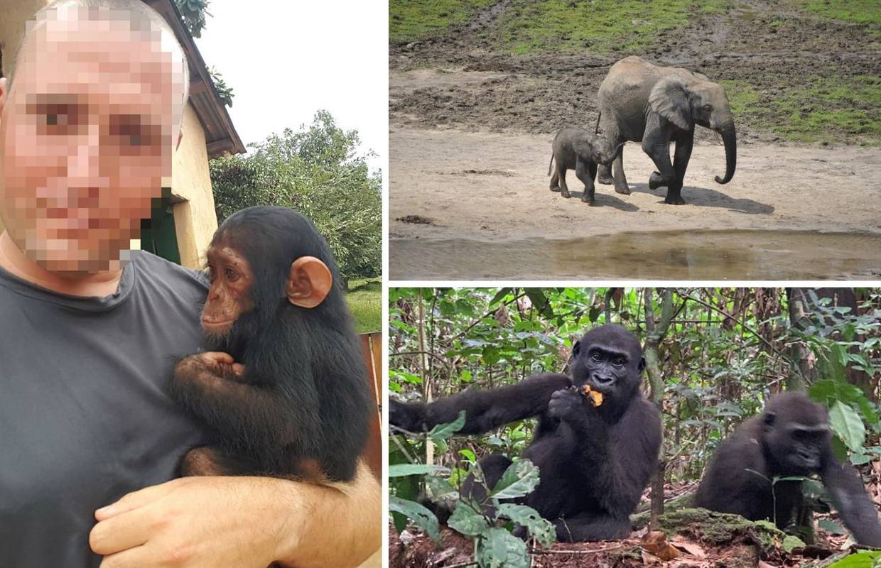 Čuvar džungle: Branim gorile i lavove od opakih krijumčara