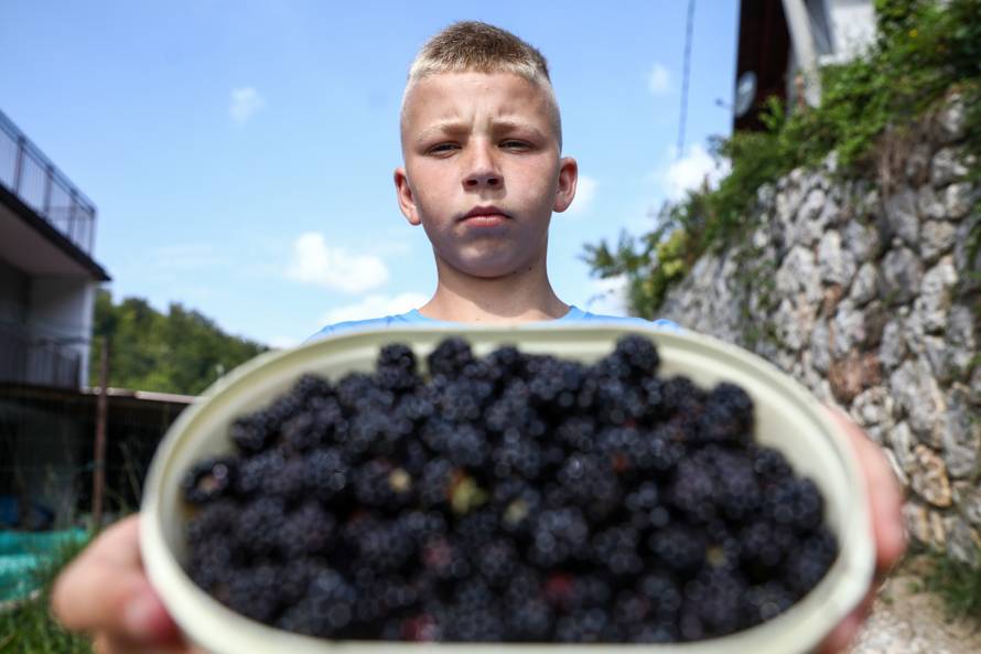 Ovo je dječak koji je rasplakao regiju: 'Ukrali su mu kupine, a on ide dalje još jači. Moj junak!'