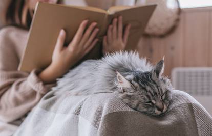 4 razloga zašto mačka spava na vama, na nekom dijelu tijela