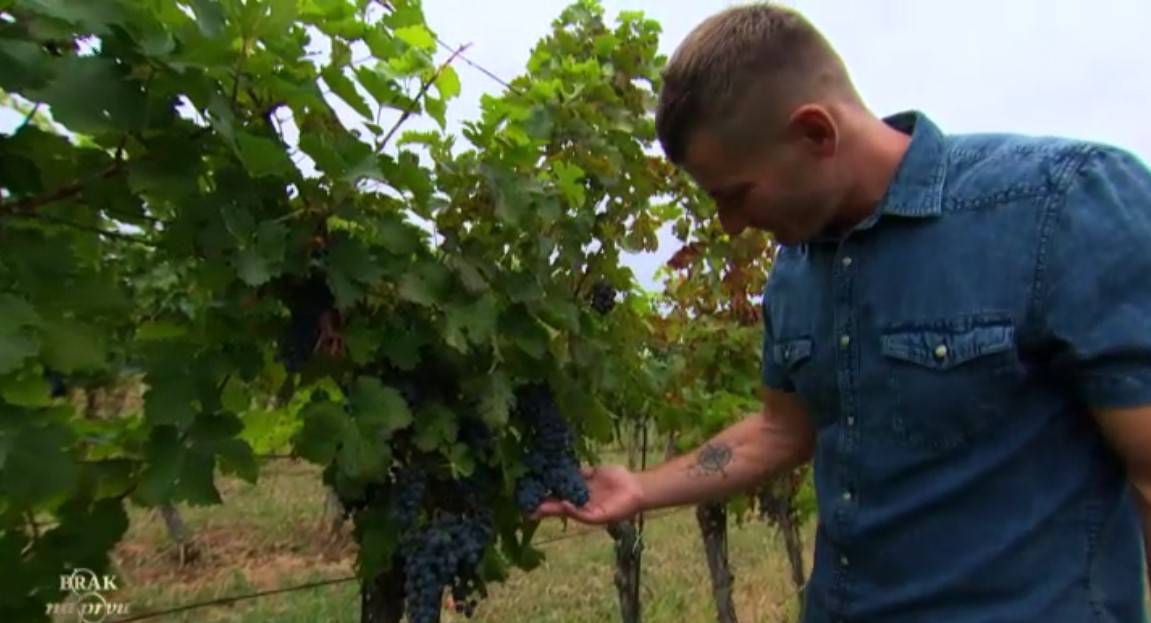 'Ljubavni trokut' u vinogradu: Fotke brišem, nagađajte i dalje