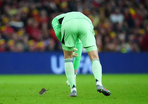Wales v Belgium - 2026 FIFA World Cup European Qualifiers - Group J - Cardiff City Stadium