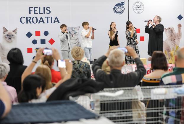 FOTO Otvorena Svjetska izložba mačaka u zagrebačkom Family Mallu! Traje i tijekom nedjelje