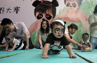 Bebe u panda kostimima se natjecale u puzanju