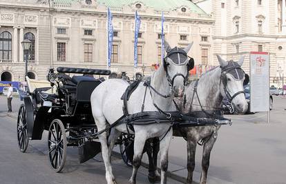 Oštećuju asfalt: Konji u Beču će uskoro dobiti nove potkove