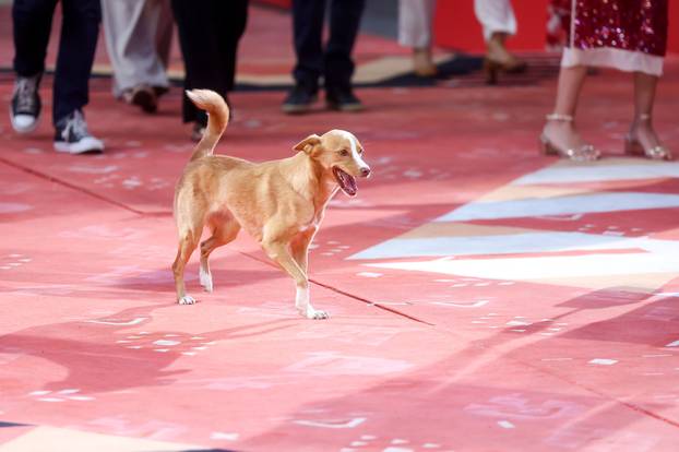 Sarajevo: Prvi crveni tepih treceg dana 31. Sarajevo Film Festivala