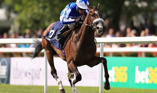 Tuga u Engleskoj: Ozlije&dstrok;eni je konj pobijedio, a onda - uginuo