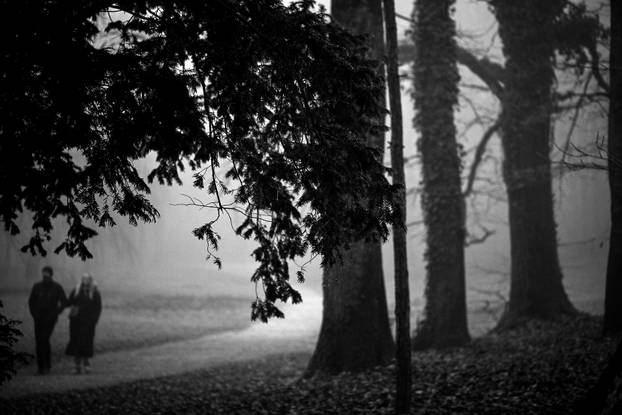 Zagreb: Gusta magla sakrila boje parka Maksimir