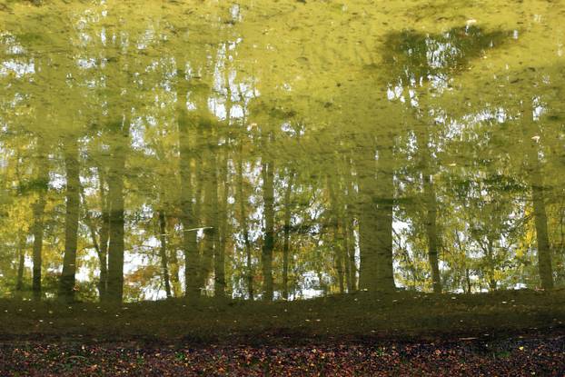Obilazak Aboretuma Opeka u Marčanu, najvećeg arboretuma u Hrvatskoj