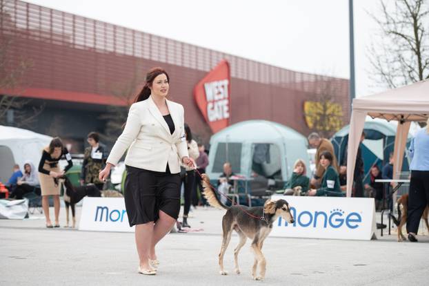 U Zaprešiću održana CAC nacionalna izložba pasa