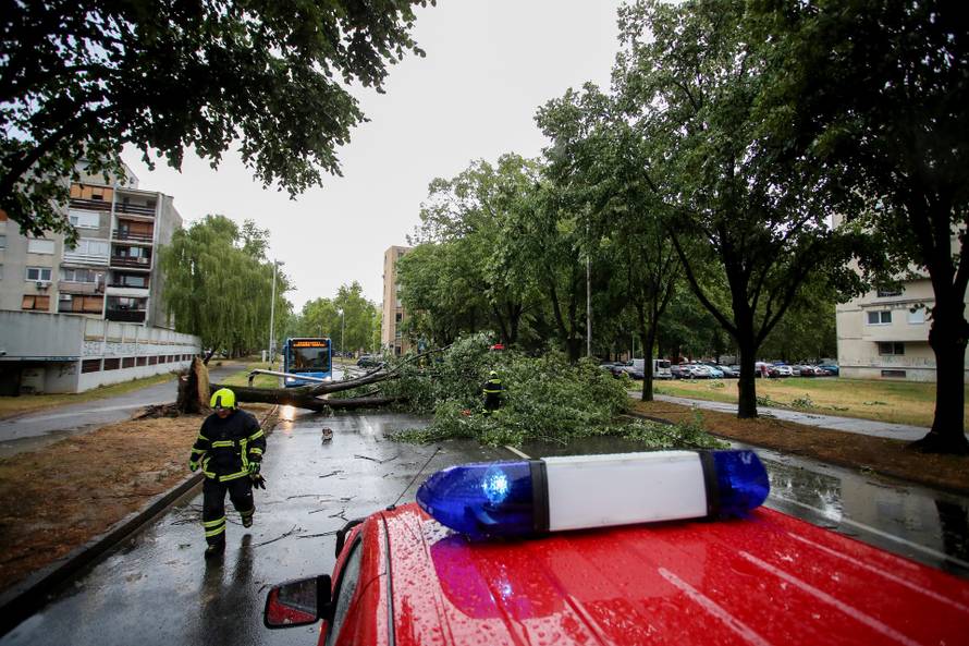 Zagreb: Vatrogasci uklanjaju stablo koje je palo u Ulici Svetog Mateja