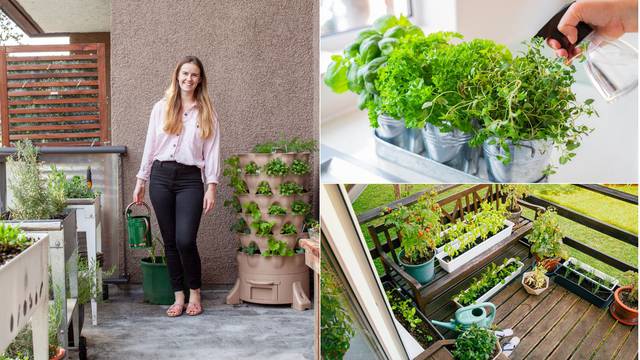 Tegla, gredica ili viseći vrt na balkonu: Što odabrati za sadnju biljaka i koja pozicija je najbolja