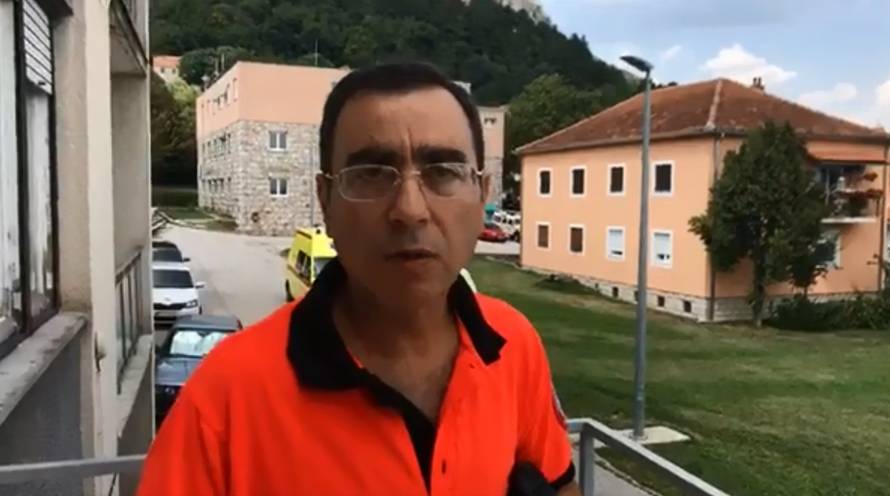 'Gnijezdo je bilo golemo': Baku Anu ubolo je 40 stršljenova