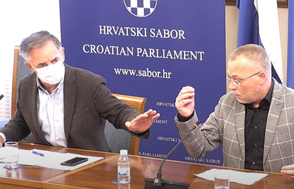 Hasanbegović demonstrativno izašao iz sabora: Posvađao se s Pupovcem oko teme migranata