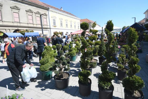 Najveći sajam cvijeća u Podravini privakao pažnju mnogobrojnih ljubitelja flore