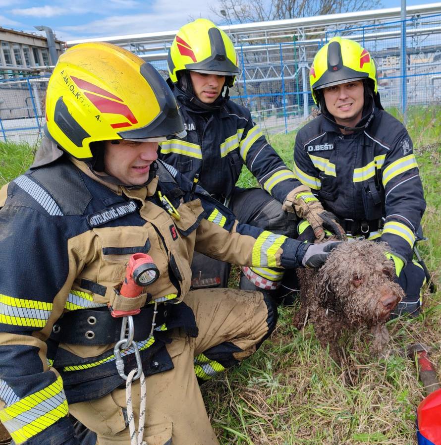 Zagrebački vatrogasci uz brojne intervencije spašavali i psa