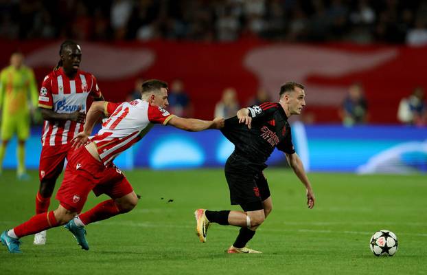 Champions League - Crvena Zvezda v Benfica