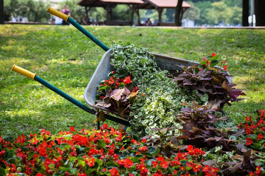 Floraart: Sadnice cvijeća od 2 kune, a za 25 mini vrt u posudi