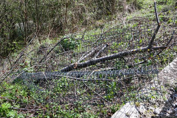 Zagreb: Tri tjedna nakon razorne oluje na Sljemenu i dalje vidljive posljedice 