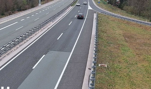 OPREZ, VOZAČI! Medo je na A6