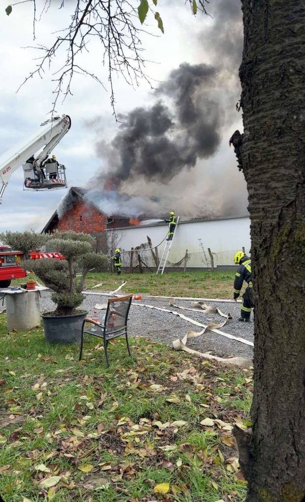 FOTO Strašne scene iz Sesveta: Požar u hali, diže se gusti dim