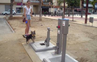 Za čiste ulice: Psi u Španjolskoj dobili javne zahode