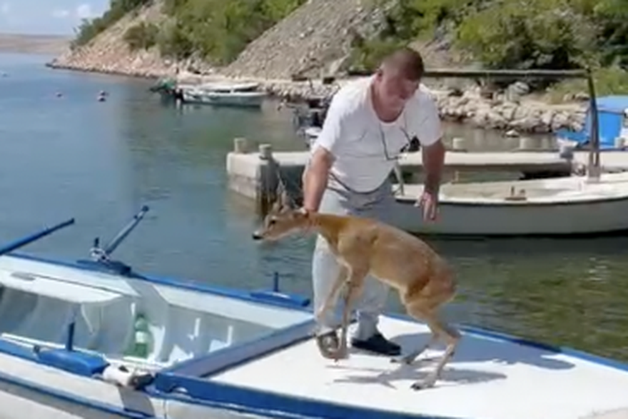 Sveta Marija Magdalena: Srndać u moru