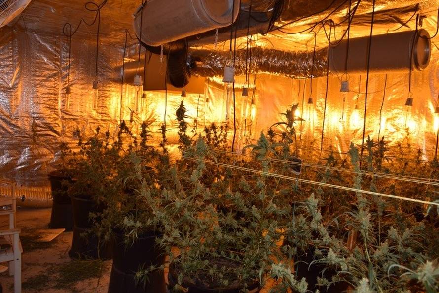 Policija im pokvarila planove: Iz Srbije došli u Zagreb uzgajati marihuanu, ostali bez svega