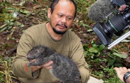 Istraživači otkrili golemog štakora i sitnog oposuma 