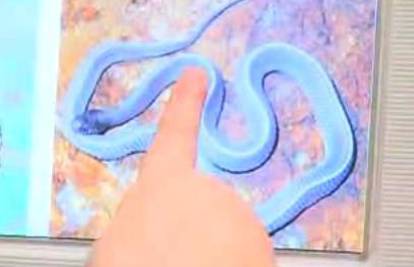 Urođeni instinkt pomaže ljudima da pronađu zmije