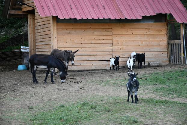 FOTO Kokoši, peseki, konji... Evo što sve skriva Enin ranč pun ljubavi: 'Oni su moji ljubimci!'