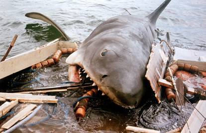 Ovo je Bruce, najstrašnije 'ralje' u povijesti: Zbog njega danas milijuni strepe od morskih pasa