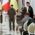 Zelenski je odlikovao Patrona, psa tragača za minama: Otkrio je više od 200 eksploziva