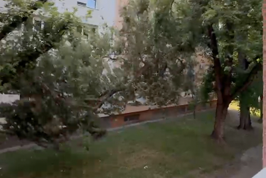 Jaki vjetar u Osijeku slomio granu drveta