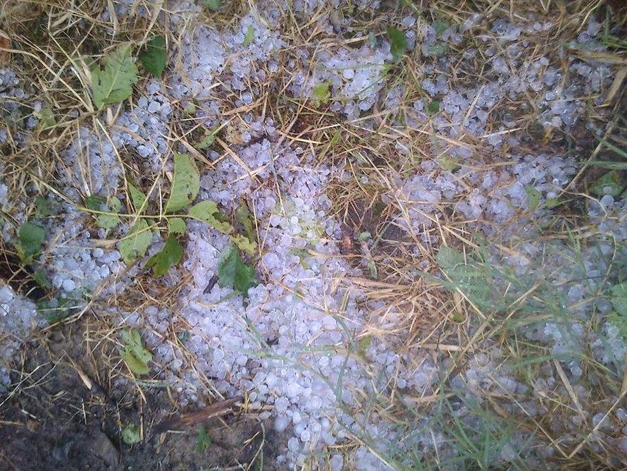 Nevrijeme rušilo stabla, nosilo krovove, kiša poplavila ulice