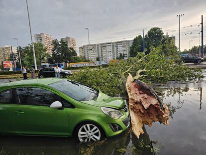 FOTO Neviđeni kaos u Zagrebu i okolici: Vjetar čupao stabla i dizao krovove po cijelom gradu