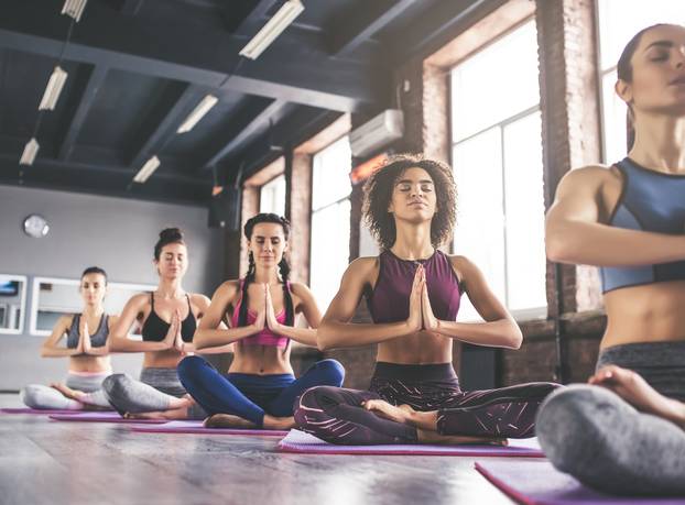 Attractive,Young,Sport,Girls,Are,Doing,Yoga,Together.,Group,Training.