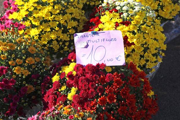 Šibenik: Uo?i nadolaze?ih blagdana pove?ana ponuda cvije?a i cvjetnih aranžmana