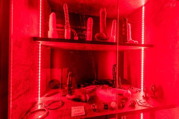 FOTO Jeste li znali da u Zagrebu možete unajmiti stan za BDSM? Pogledajte što se nudi unutra