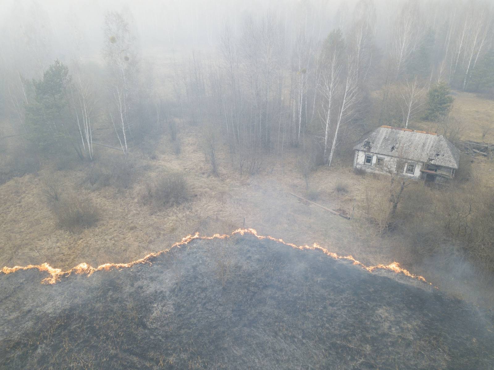 A view shows grass on fire in Lyudvynivka in Kiev Region