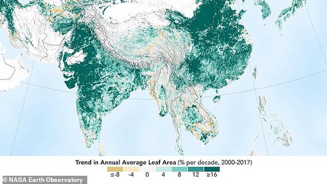 Napokon dobre vijesti: Zemlja je zelenija zbog Kine i Indije