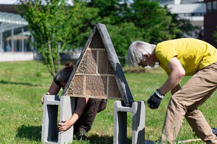 UN u Beču 'ugostio' pčele za Svjetski dan zaštite okoliša