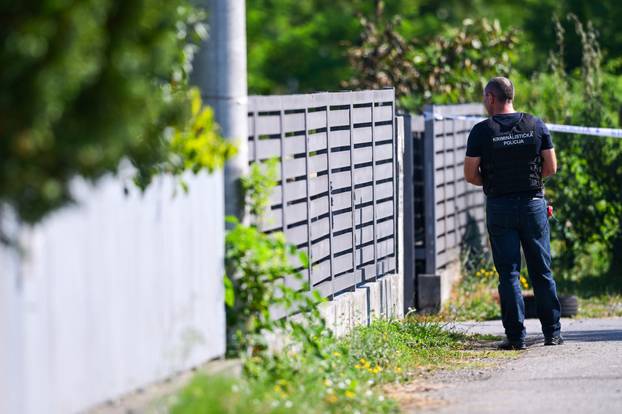 Zagreb: Očevid na mjestu požara automobila i broda