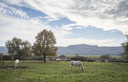 Pronađite inspiraciju za vaš savršeni vikend: Aurea Pannonia