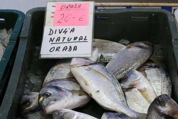 Šibenik:Bogata ponuda ribe na sibenskoj ribarnici.