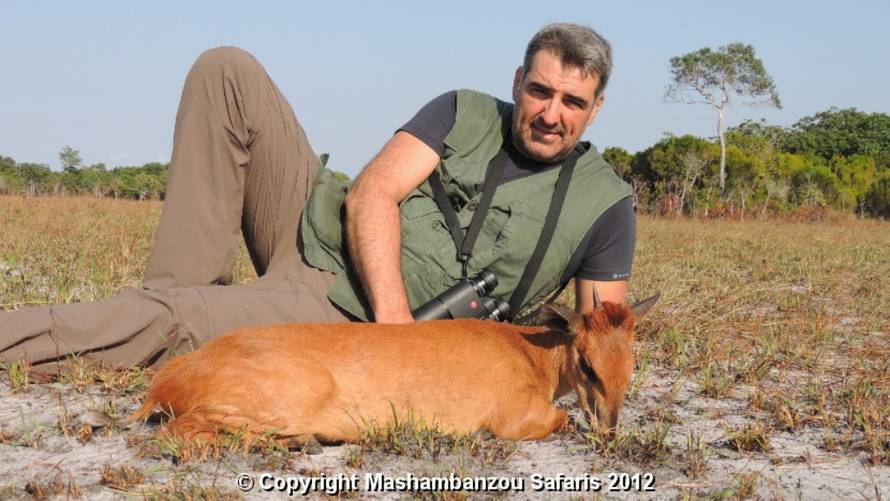 Mashambanzousafaris.com